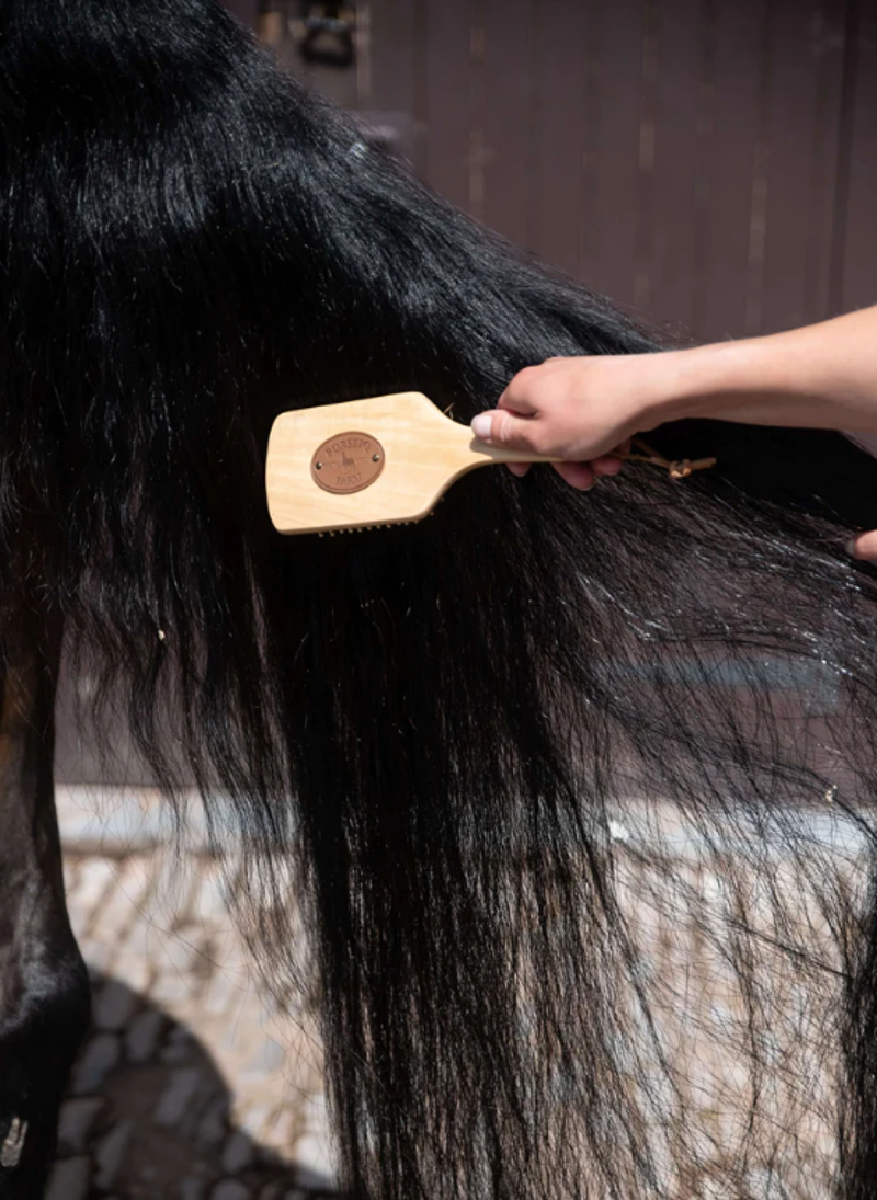 Smart Grooming - Borstiq Mane/Tail Brush - Large-2